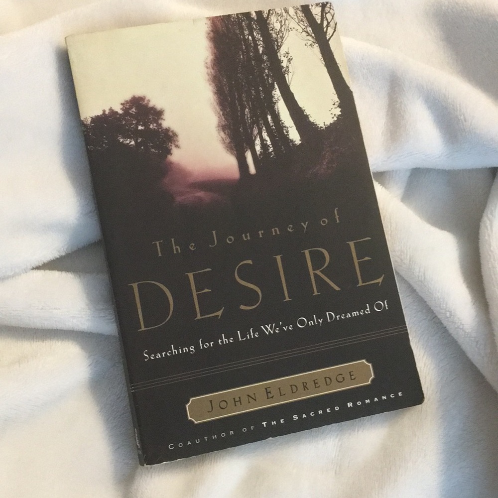 “The Journey of Desire” book by John Eldridge